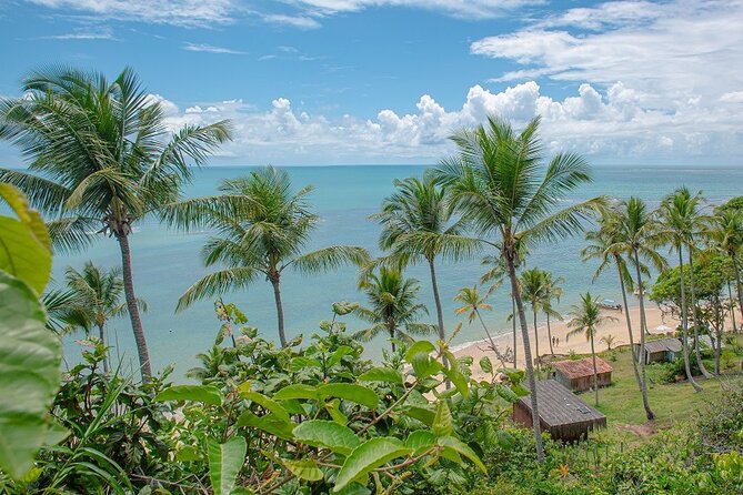 Private Tour to Praia Do Satu and Caraíva - Overview of the Tour