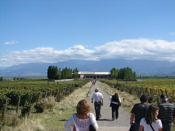 Private Tour Vinicola Salentein + La Azul With Lunch. Transport - Good To Know