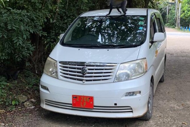 Private Transfer From Karume International Airport to Paje - Good To Know
