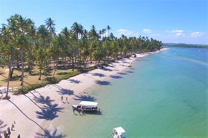 Private Transfer From Recife Airport to Praia Dos Carneiros - Good To Know