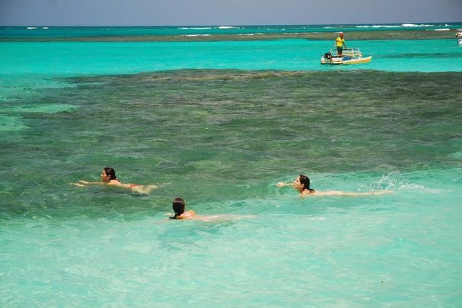 Private Transfer From Recife to Maragogi 01 to 06 Pax by Geotur Receptives - Overview and Rating