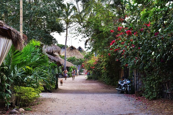 Private Transportation Service From Santa Marta to Palomino - Good To Know