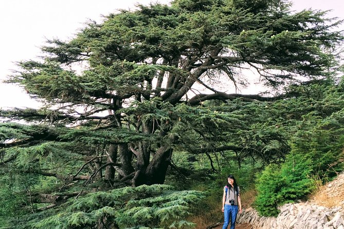 Private Trip to Beiteddine, Deir El Qamar & Maaser El Chouf Cedars - Good To Know