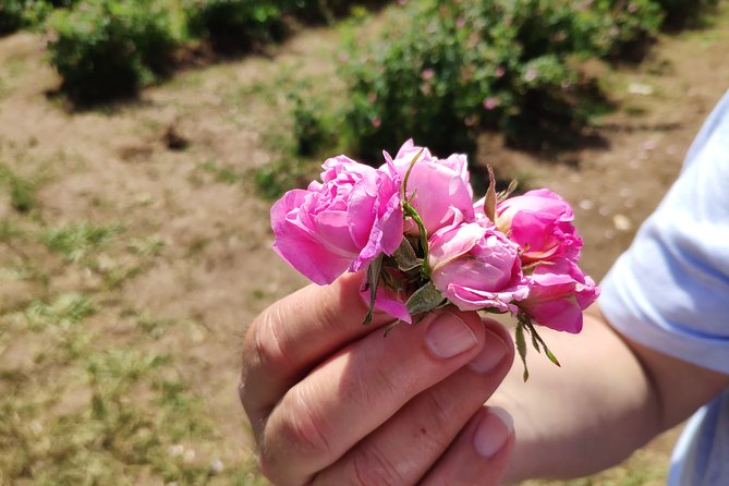 Private VIP Access Rose Festival Kazanlak - Good To Know