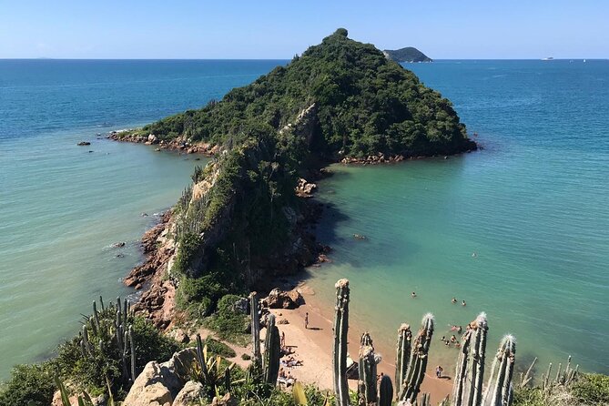 Private Walk Through Mangue De Pedras and Ponta Do Pai Vitório - Good To Know