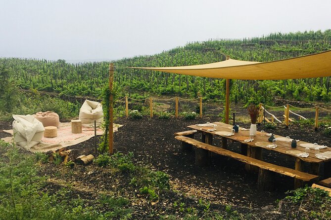 Private Wine and Food Tasting Immersed in Nature in Milo - Good To Know