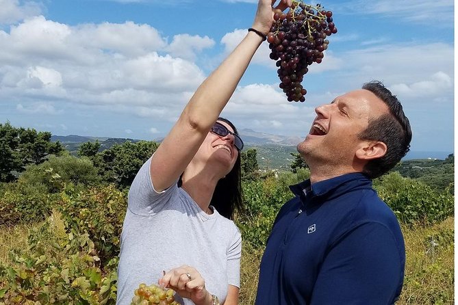 Private Wine and Olive Oil Tour With Wine Professional - Good To Know