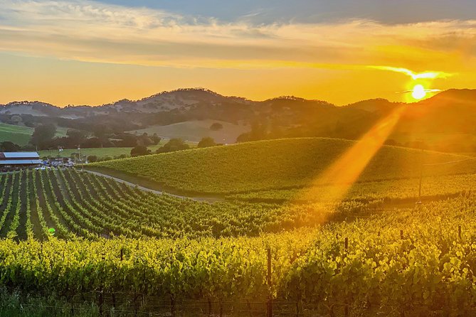 Private Wine Country Tour Including Photography Services - Good To Know