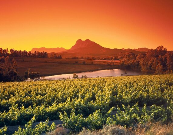 Private Wine Tasting Cape Town Wineries Stellenbosch Franschoek Paarl Full Day - Good To Know