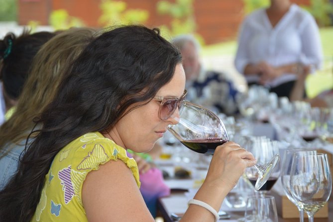 Private Wine Tours by Wine Explorers Uruguay - Good To Know