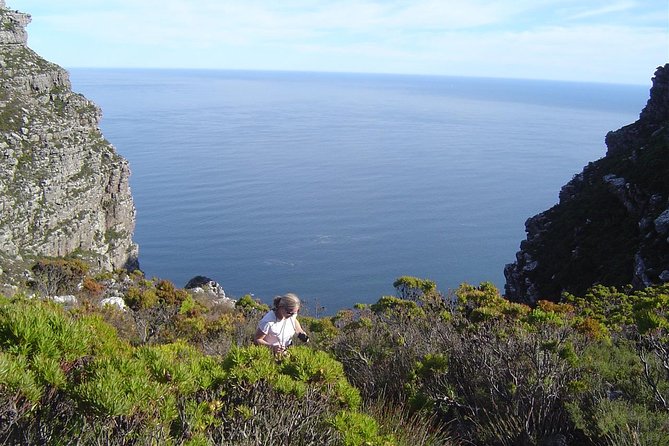 Privately Guided Table Mountain Hike - Good To Know