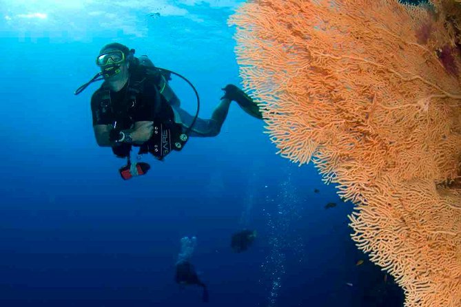 Professional 2 Stops Scuba Diving Full Day Boat Trip - Hurghada - Good To Know