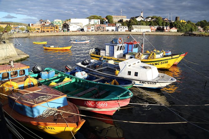 Puerto Montt: Full Day Chiloe Island Visiting Ancud - Caulin - Lacuy - Good To Know