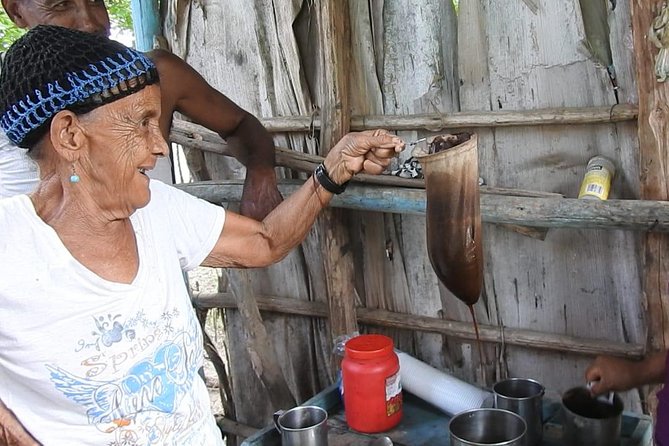 Puerto Plata: Cultural Escape Tour in Puerto Plata - Tour Overview