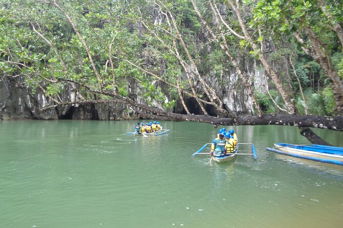 Puerto Princesa City Underground River Tour Excursion - Overview of the Underground River