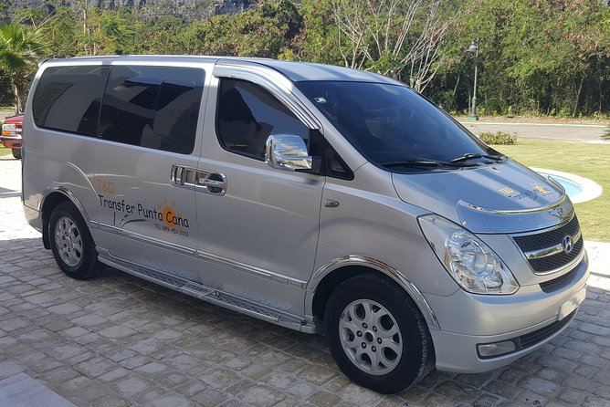 Punta Cana Airport (Puj) to Cap Cana Hotels (One Way) - Accessibility and Participation