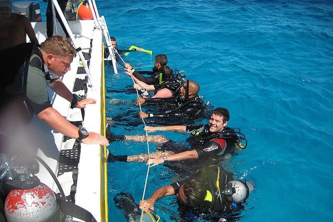 Punta Cana Reef Diving Adventure Explore Underwater Wonders - Good To Know
