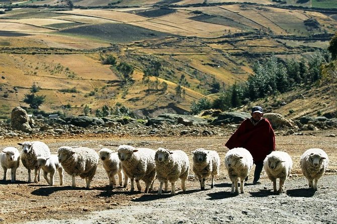 Quilotoa Loop 1 Day Tour From Quito - Good To Know