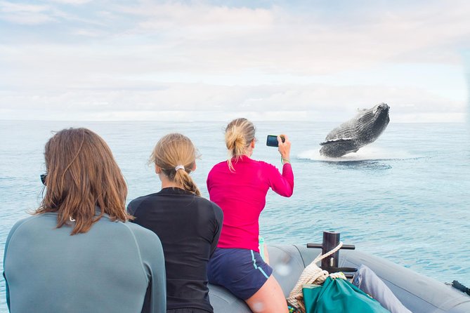 RAFT ADVENTURE - Whale Watch Discovery - Good To Know