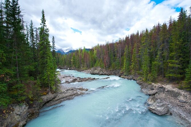 Rafting Adventure on the Kicking Horse River - Good To Know