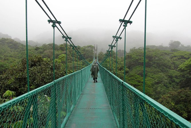 Rain Forest Monteverde,Hanging Bridges, Sloths,Birds Watching - Good To Know