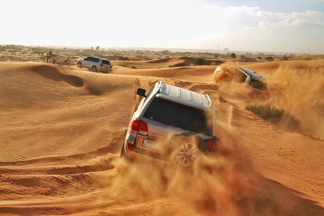 RAK Desert Safari and BBQ Dinner With RAK Pick up - Good To Know
