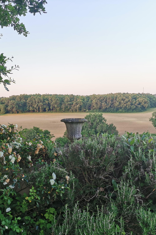 Reading: Vineyard Tour & Tasting at Château Arton - Key Points