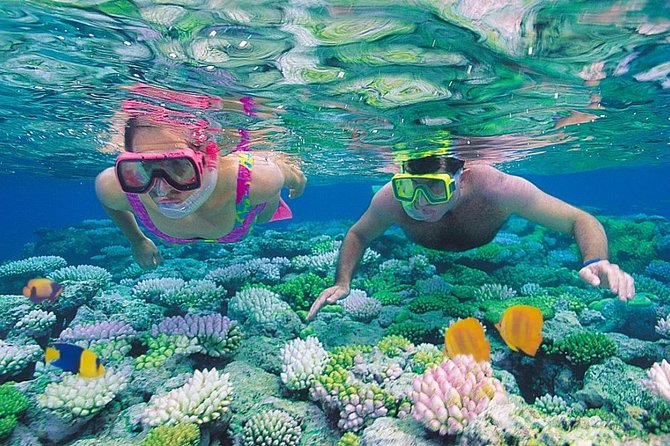 Red Sea Snorkeling From Hurghada - Overview of Snorkeling Experience