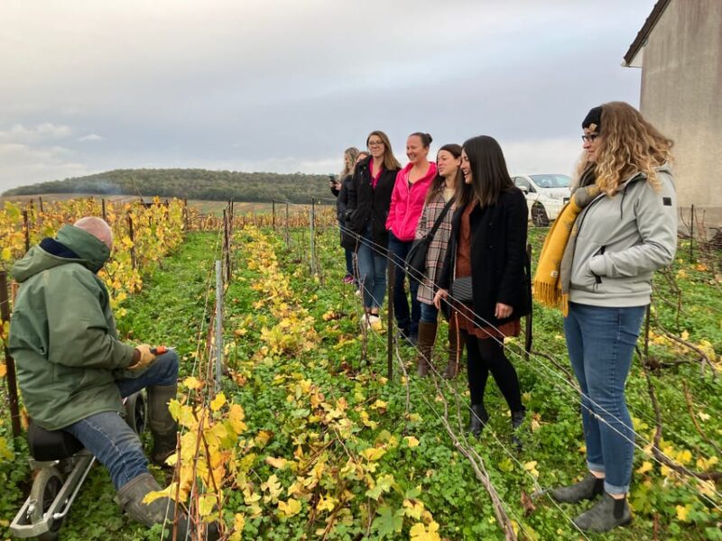 Reims/Epernay: Champagne Day Tour With Tastings - Key Points
