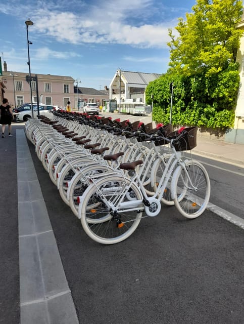 RENTAL STATION - Classic Bike and Child Bike - Key Points