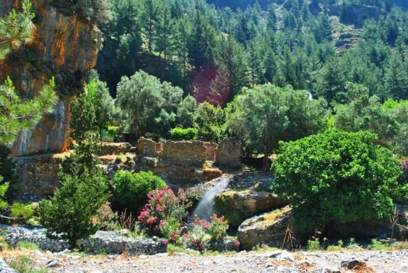 Rethymno to Samaria Gorge: Trekking Europes Longest Gorge - Good To Know