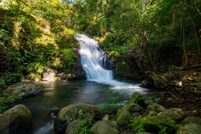 Rincón De La Vieja One Day Waterfalls Expedition - Good To Know