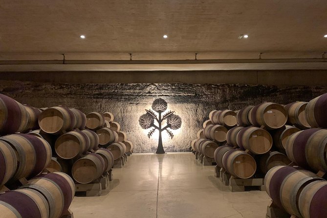 Rioja Alavesa Wineries and Medieval Villages Day Trip - Good To Know