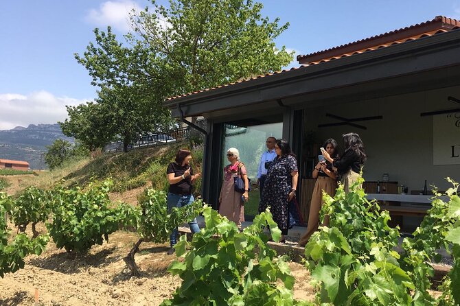 Rioja Wine Private Day Trip  - San Sebastian - Inclusions in the Package