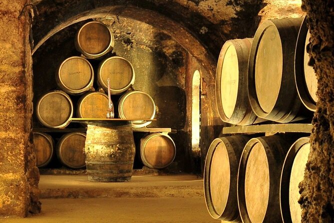 Rioja Wine Region With Visit to Winery & Vitoria-Gasreiz - Good To Know