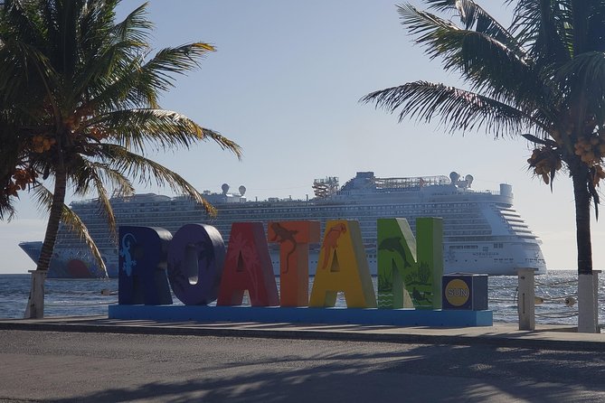 Roatan City Tour-Viewpoints, Landmarks, Chocolate and Rum Tasting - Good To Know