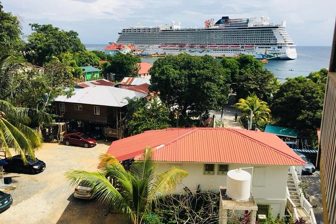 Roatan Like a Local for a Day - Overview of the Tour
