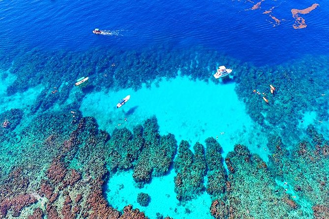 Roatan Zipline, Monkey, Macaws & Sloths Eco Park, Snorkeling, Transfer - Zipline Adventure in the Eco-Park