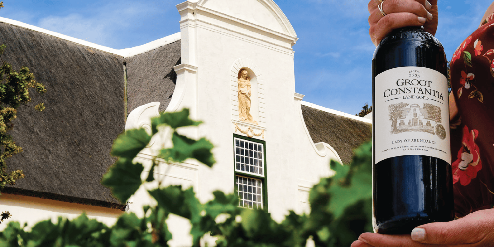 Robben Island, Kirstenbosch and Groot Constantia Tour - Ideal for Various Travelers