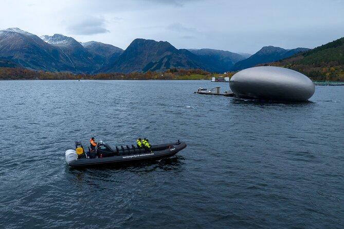 Rosendal RIB Adventure Tour Around Hardangerfjord Islands - Good To Know