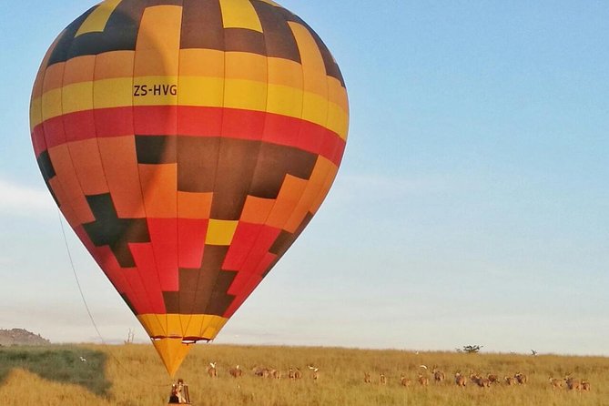 Safari Flight - Good To Know