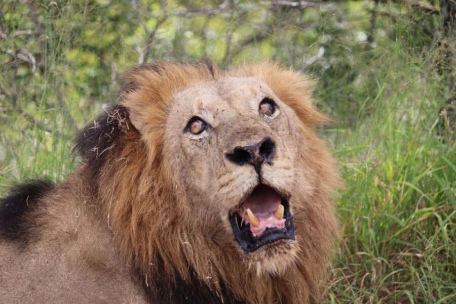 6 Best National Park Tours In Maputo