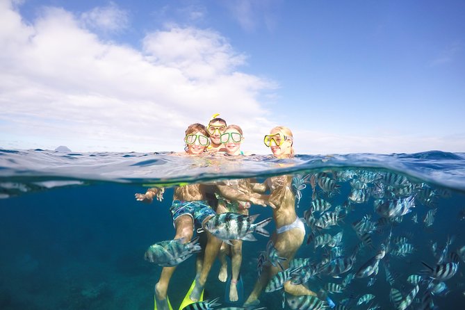 Sailing Catamaran Cruises - Good To Know