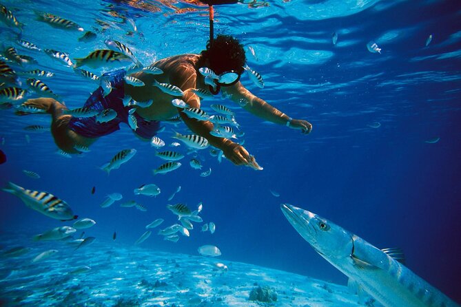 San Juan Guided Snorkeling Experience - With Transport 8am-3pm - Meeting and Pickup Points