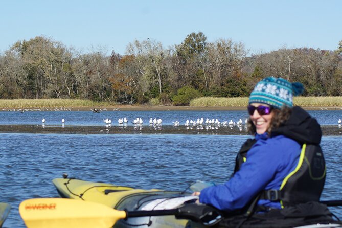 Sandhill Crane Kayak Tour With Chattanooga Guided Adventures - Good To Know