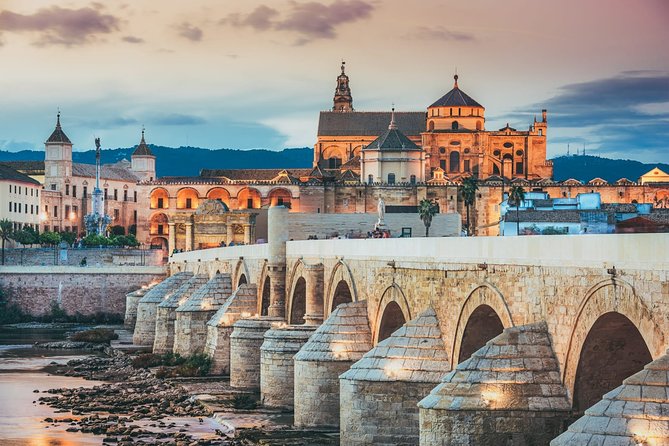 Santiago Airport Transfers: Santiago Airport SCL to Santiago in Luxury Van - Overview of Santiago Airport Transfers