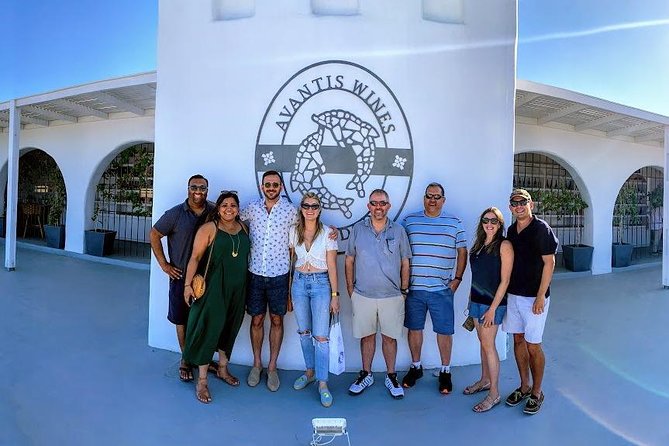 Santorini Half Day Wine Tasting & Winery Tour With Pickup - Good To Know