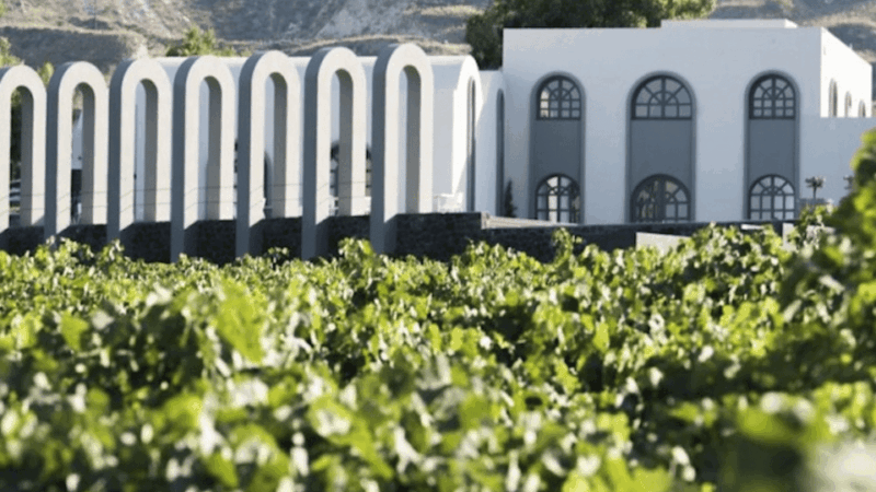 Santorini: Wine Tour With Museum Visit & 3 Wine Tastings - Good To Know