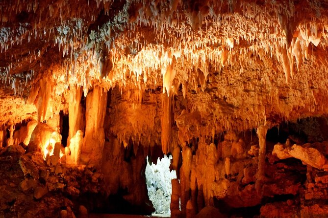 Sapadere Canyon & Waterfall Tour W. Lunch & Transfer From Alanya - Important Details to Consider