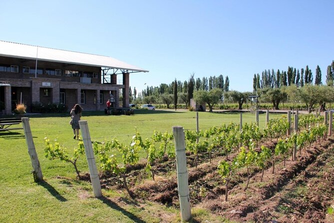 Savoring Luján De Cuyo: a Culinary and Wine Exploration - Good To Know